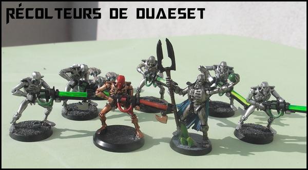 Récolteurs de Duaeset