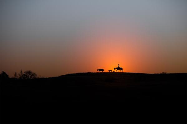 Silhouette d